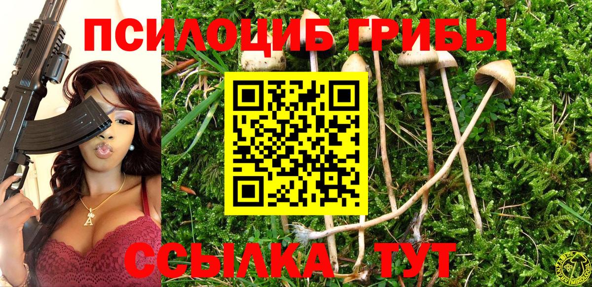 Псилоцибиновые грибы Cubensis Кемерово