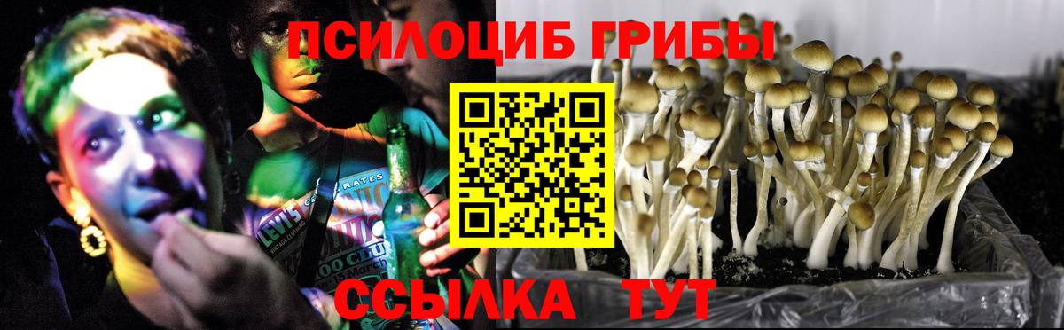 Кемерово  Галлюциногенные грибы мицелий  Вход с VPN 
